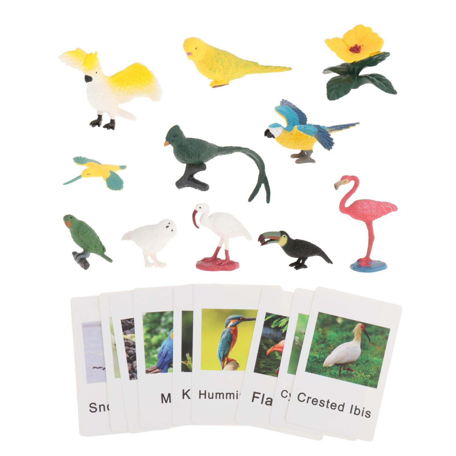 Montessori Animal Figures with - đánh giá và giá Science Nature