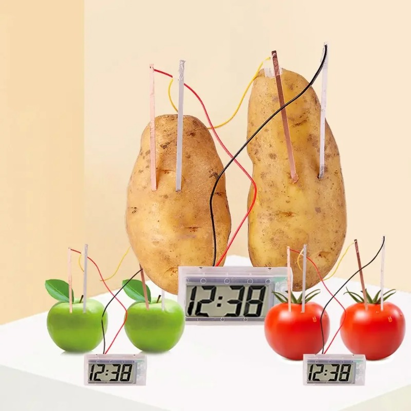 New Kid Montessori Toy Fruit P - đánh giá và giá Science Nature