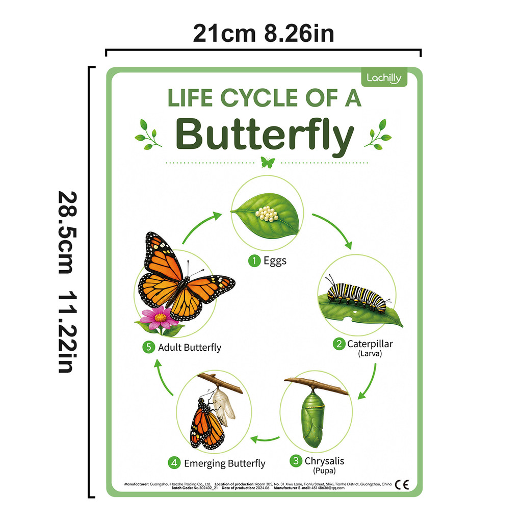 8Pcs Nature Life Cycle Educati - đánh giá và giá Science Nature
